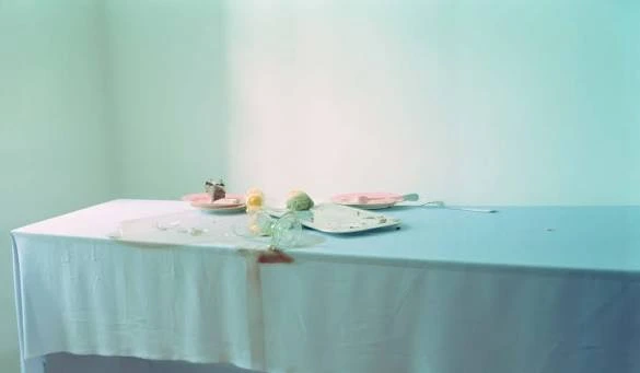 Plate 06 · decay and light