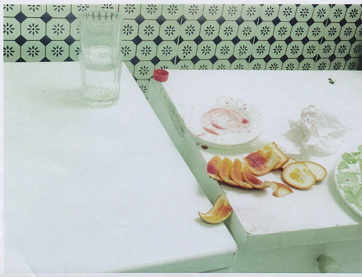 Plate 08 · magazine collage