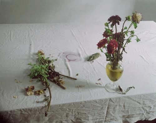 Plate 09 · final composition